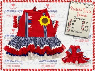 Vestido Festa Junina