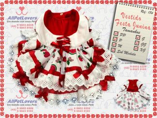 Vestido Festa Junina