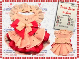 Vestido Social de Laise